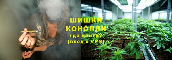 амф Богородицк