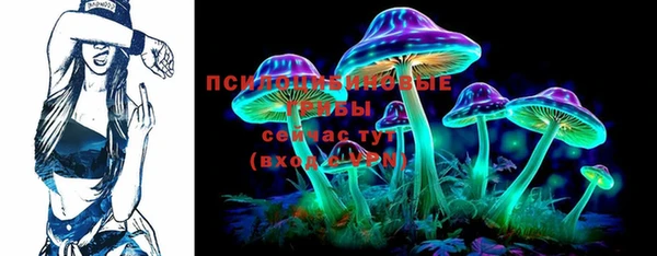 амф Богородицк